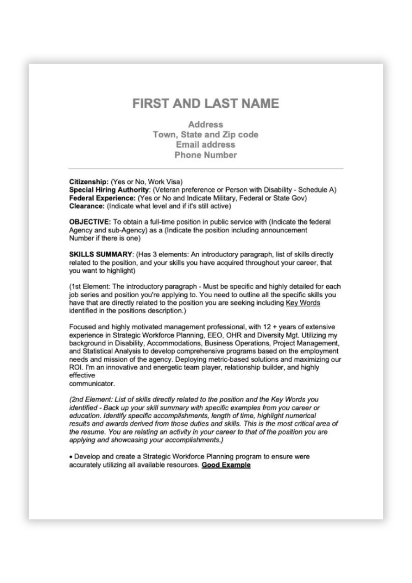 federal resume example template